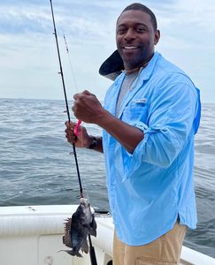 Sea Bass Fishing in Raritan Bay